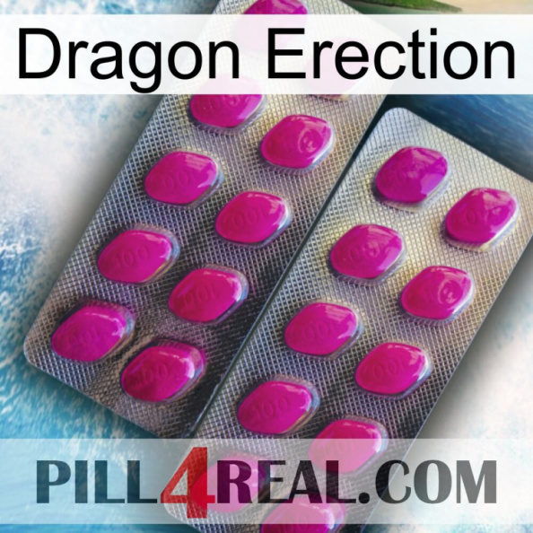 Dragon Erection 10.jpg